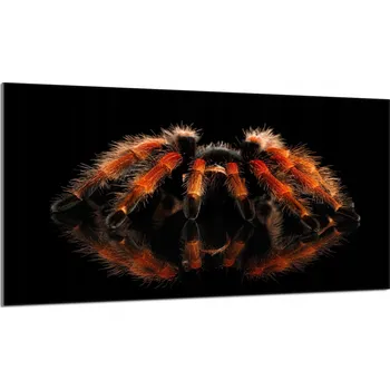 Obraz Krájecí deska TMK ArtDeko sklo 1 ks