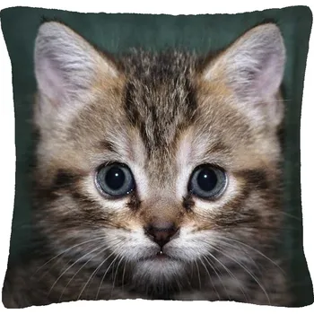 Polštář POLŠTÁŘ KOČKA 09 KOŤÁTKO MALÉ MOUROVATÉ NA ZELENÉM