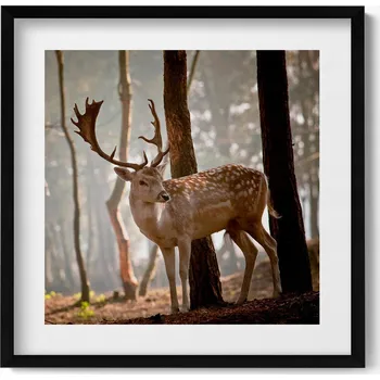 Obraz Nástěnný obraz v rámu s grafikou Jelen v záři vycházejícího slunce 50x50 cm