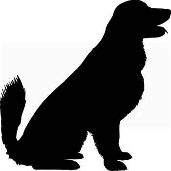 Samolepící dekorace Samolepka na zeď Drukant Pes W-H007_50K 50 x 50 cm černá