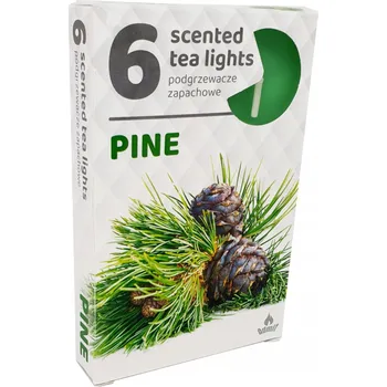 Svíčka Parafínové čajové svíčky Pine Admit 6 ks