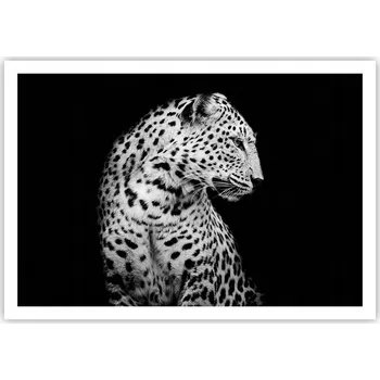 Obraz Plakát na zeď bez rámu 100x70 zvířata obraz plakáty do obývacího pokoje ložnice