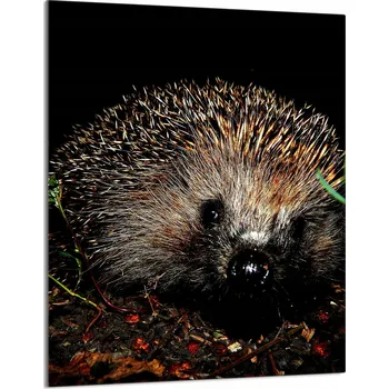 Kuchyňské prkénko Krájecí deska TMK ArtDeko sklo 1 ks