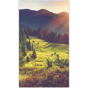 Obraz Skleněná Ochranná Deska a Krájecí Prkénko | Indukce, Sporák ds-0383