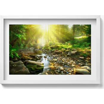 Obraz Ozdobný obraz v rámu do obýváku Lesní potůček v slunečních paprscích 60x40 cm