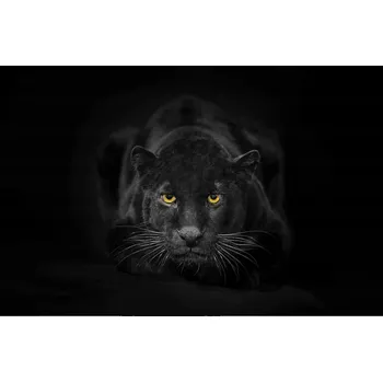 Kuchyňské prkénko Skleněná Ochranná Deska a Krájecí Prkénko | Indukce, Sporák ds-0110