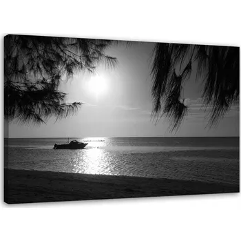 Obraz OBRAZ NA PLÁTNĚ Obraz na plátně Moře Palmy Černobílý 120x80