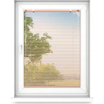 Žaluzie Horizontální žaluzie 50 cm x 210 cm hliníkové