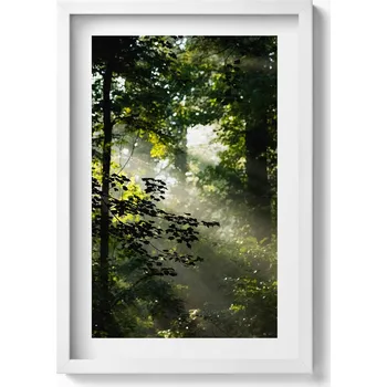 Obraz Dekorativní nástěnný obraz v rámu s grafikou Sluneční paprsky a stromy 40x60 cm