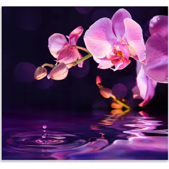 Kuchyňské prkénko Skleněná Ochranná Deska a Krájecí Prkénko | Indukce, Sporák ds-0034