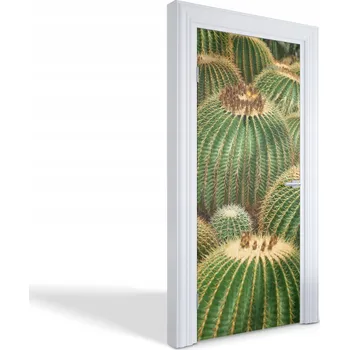 Fototapeta Ozdobná dekorativní fólie na dveře, nábytek, skříň - Zelené kaktusy 95x205 cm