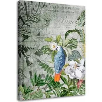 Obraz Obraz na plátně Canvas, Modrý papoušek