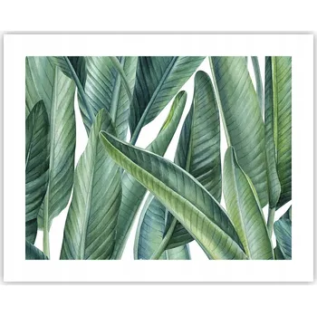 Obraz Obraz plakát na zeď bez rámu 50x40 listy foto plakáty obývací pokoj ložnice