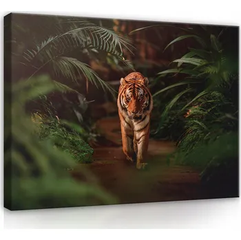 Obraz Obraz Na Plátně TYGR LAS DŽUNGLE Velký 60x40