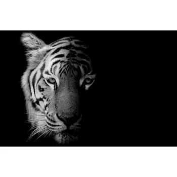 Kuchyňské prkénko Skleněná Ochranná Deska a Krájecí Prkénko | Indukce, Sporák ds-0408