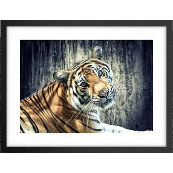 Obraz Obraz plakát v černém rámu do obýváku 40x30 zvířata foto na zeď