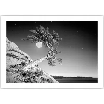 Obraz Plakát bez rámu do obýváku ložnice 70x50 krajina moderní módní obraz