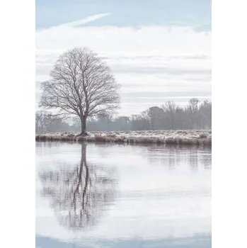 Obraz Plakát Odraz stromu v rybníku bez rámu 50 x 70 cm