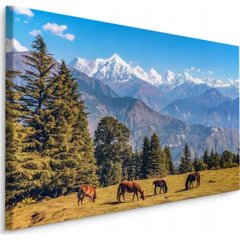 Obraz Obraz do jídelny koně hory výhled krajina 70x50