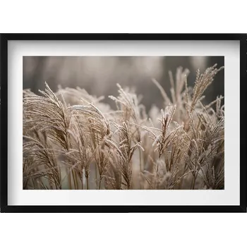 Obraz Ozdobný nástěnný obraz v rámu s grafikou loft Boho, jemné trávy, 70x50 cm