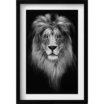 Obraz Obraz v černém rámu dekorace na zeď Hlava lva divoké kočky 40x60 cm