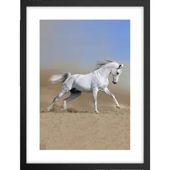 Obraz Obraz plakát v černém rámu do obýváku 30x40 kůň foto plakáty na zeď