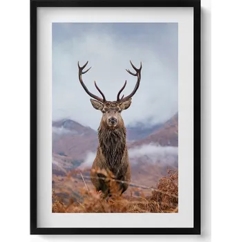 Obraz Ozdobný nástěnný obraz v rámu s grafikou Jelen na horské mýtině 50x70 cm