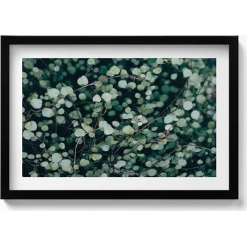 Obraz Nástěnný dekorativní obraz v rámu s grafikou Drobných lístků rostliny 60x40 cm