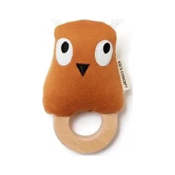 Obraz Kids Concept Edvin Chrastítko Sova Rezavá