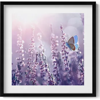 Obraz Dekorace obraz s grafikou v krásném rámu Motýl na lučních květinách 50x50 cm