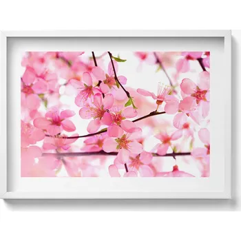 Obraz Obraz s grafikou v bílém rámu Růžové jarní květy na větvích 70x50 cm