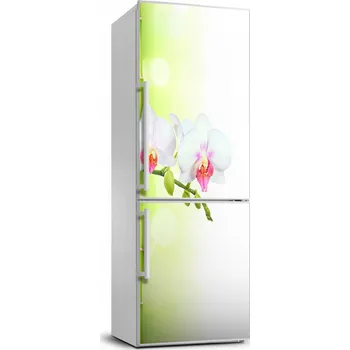 Fototapeta Nálepka, fólie, samolepka Orchidej a bambus 70x190