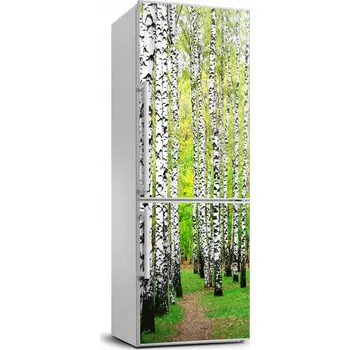 Fototapeta Fototapeta / Samolepka na ledničku - Březový les