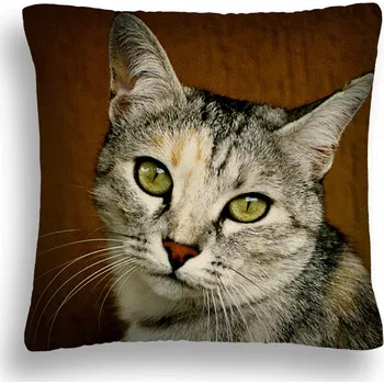 Polštář POLŠTÁŘ KOČKA 11 PŘEKVAPENÁ KOČKA POVLAK + VÝPLŇ