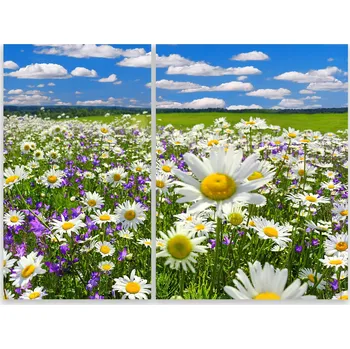 Kuchyňské prkénko Skleněná Ochranná Deska a Krájecí Prkénko | Indukce, Sporák ds-0514