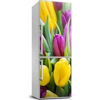 Fototapeta Foto Samolepka na ledničku Barevné tulipány 70x190