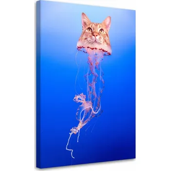 Obraz Obraz na plátně Canvas Kočka Medúza Moře 40x60