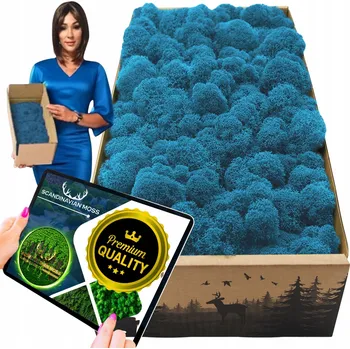 Obraz Sobí mech CHROBOTEK finský 500g Dekorativní PREMIUM živý okrasný