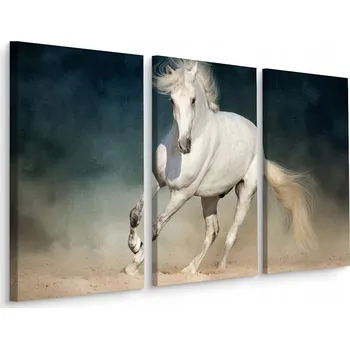Obraz Obraz Triptych Bílý Kůň v Cvalu Příroda 60x40
