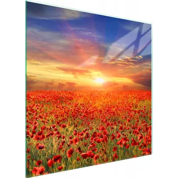 Kuchyňské prkénko Krájecí deska TMK ArtDeko sklo 1 ks