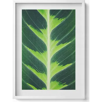 Obraz Dekorativní nástěnný obraz s rámem a grafikou loft - Textura a žilky listu 50x70 cm