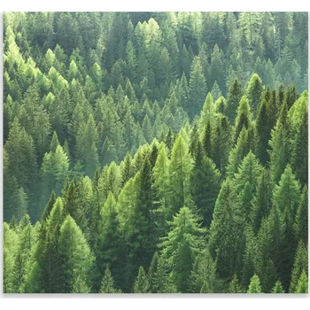 Kuchyňské prkénko Skleněná Ochranná Deska a Krájecí Prkénko | Indukce, Sporák ds-0417