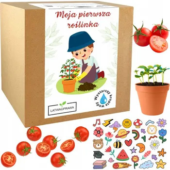 Obraz Sada pro děti k pěstování rajčat - Malý zahradník - Moje první rostlinka