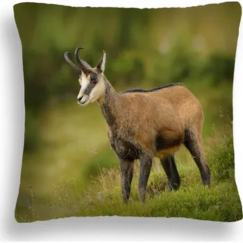 Polštář POLŠTÁŘ ZW 17 HORSKÁ KOZA TATRY POLSKA 50X50