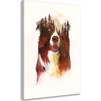 Obraz Obraz na plátně Pes v noci 70x100