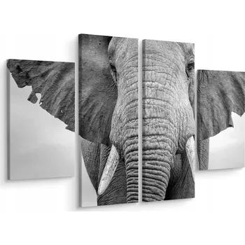 Obraz Obraz Tetraptych SLON Zblízka Příroda 3D 80x60