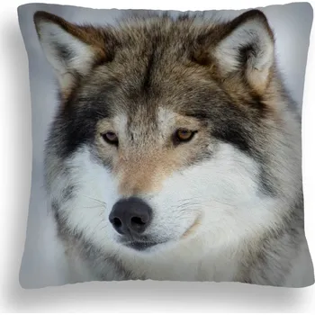 Polštář Polštář na spaní BENÁTKY. PL 40 x 40 cm