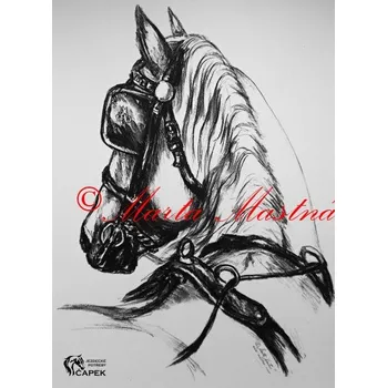 Žertovný předmět Samolepka -KLADRUBSKÝ KŮŇ-