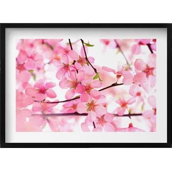 Obraz Dekorativní nástěnný obraz v rámu Růžové jarní květy na větvích 70x50 cm