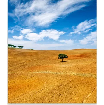 Kuchyňské prkénko Skleněná Ochranná Deska a Krájecí Prkénko | Indukce, Sporák ds-0137